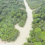 ujungkulon river, ujungkulon park