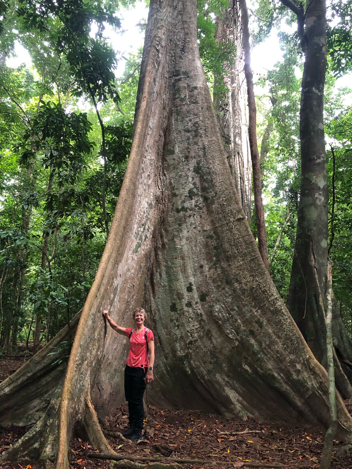 Botanical Tour