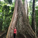 ujung kulon tours, ujungkulon tours, ujung kulon travels, ujung kulon national park